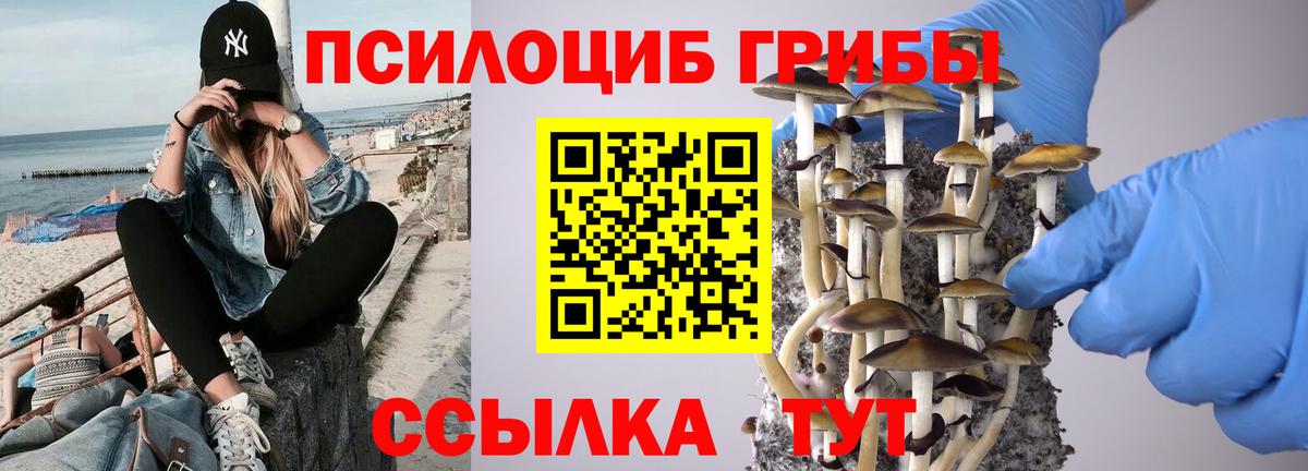 хочу   Псилоцибиновые грибы ЛСД  Вход с VPN  Выкса 